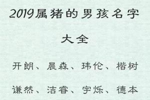 2023年属猪男孩名字大全