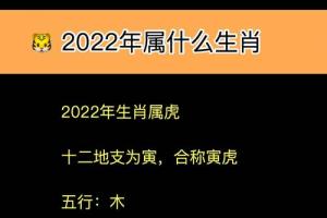 生肖属猪🐷男孩起名技巧🐷取名注意事项