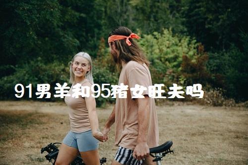 男91羊女95猪(男91羊女95猪什么时候结婚好)