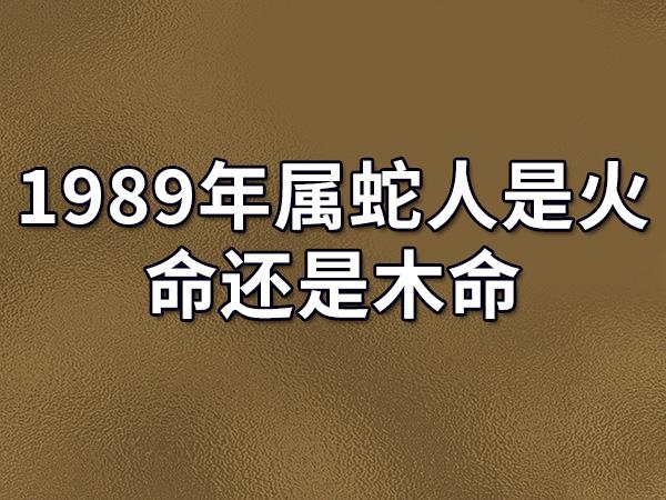 1989年属蛇人是火命还是木命