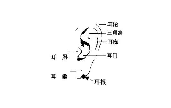 男人耳朵长痣面相图 耳背有痣的男人易犯小人