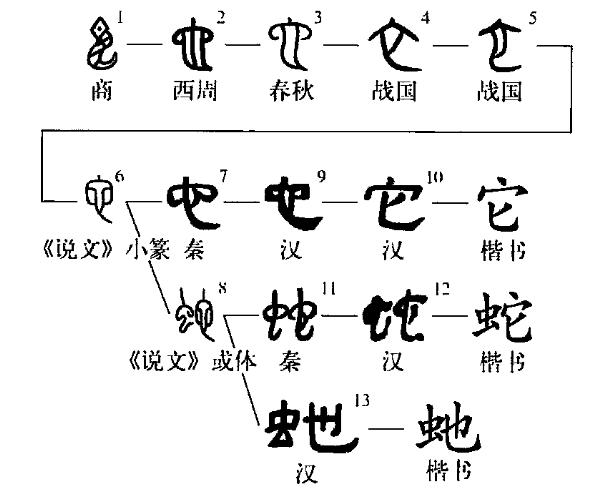 p>蛇,汉语 a target=