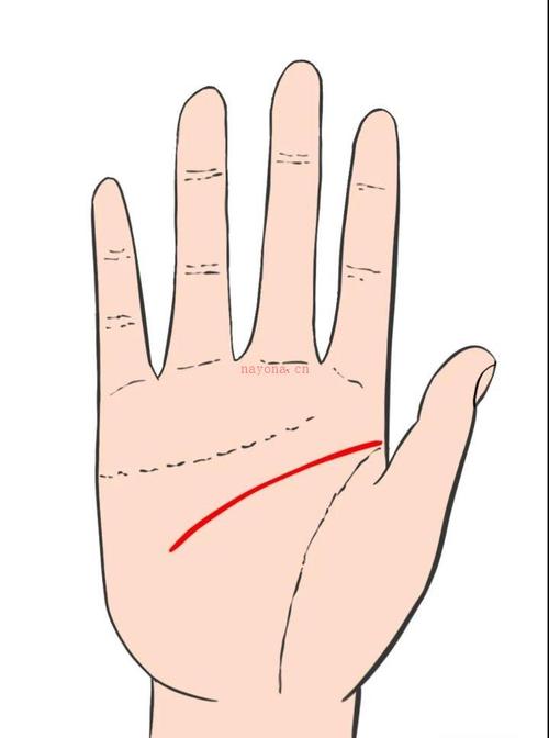 五分钟看手相系列:一分钟看懂智慧线