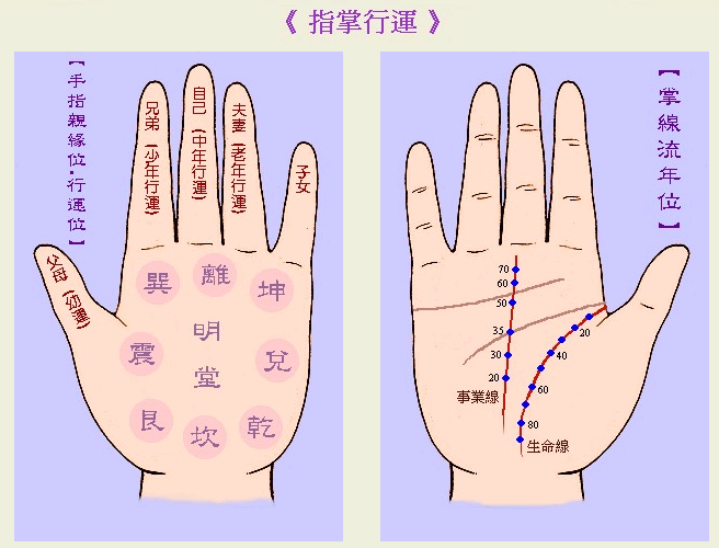 成涛掌相指掌行运  成涛掌相指掌行运