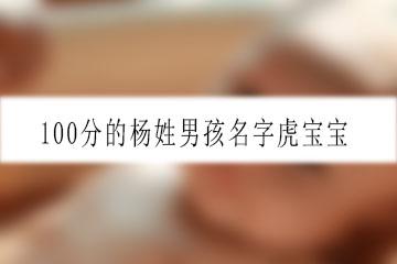 100分的杨姓男孩名字虎宝宝