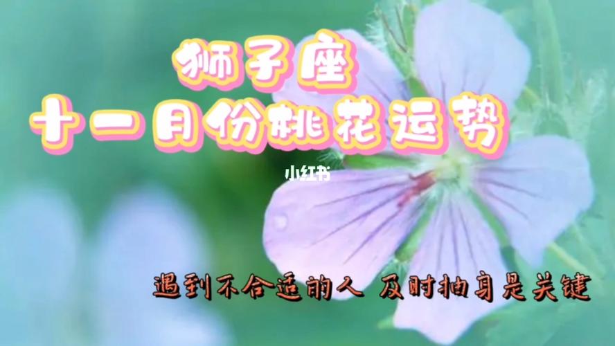 狮子座十一月桃花运势