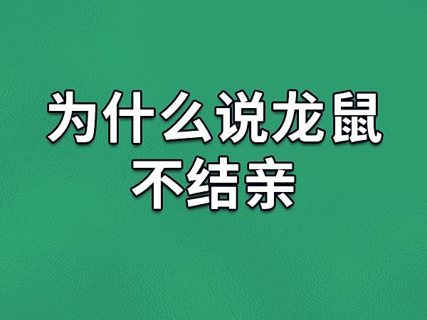 为什么说龙鼠不结亲