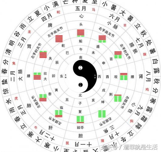 易经八卦算命生辰八字_易经八卦阴阳法_易经八卦 算命