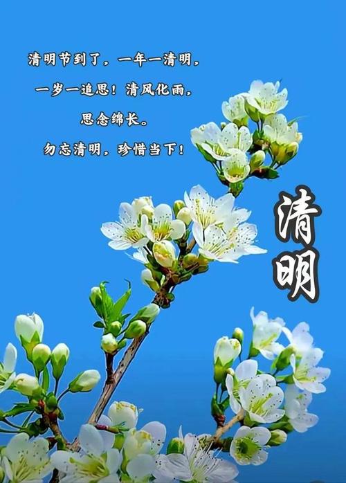 4月4日清明节早安精美图片大全,祝清明节合家安康,事事如意!