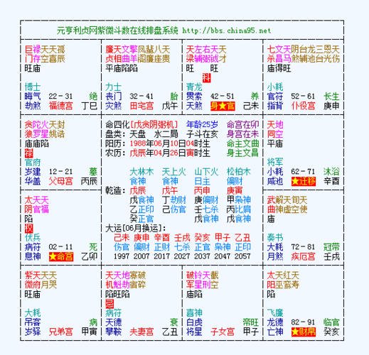 我这紫微斗数是什么格局?好像不是紫府同宫.