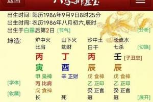 同时有双妻双夫或多个伴侣的八字.