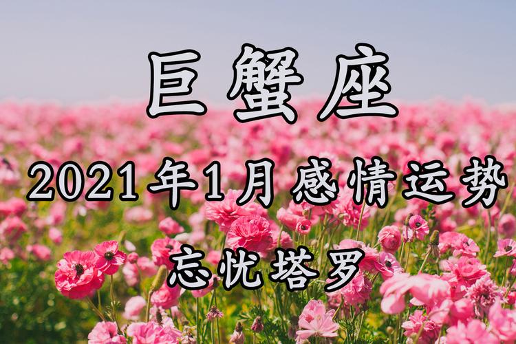 忘忧塔罗巨蟹座2023年1月运势珍惜这段缘分灵魂相通的伴侣