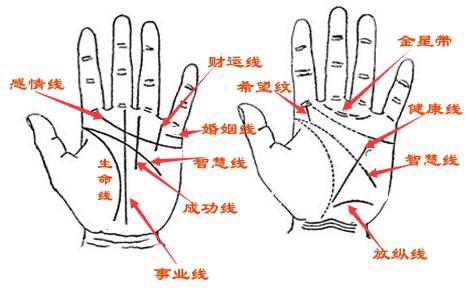 富贵手相的六种奇纹!