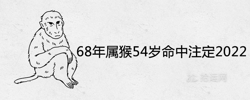 68年属猴54岁命中注定2023财运及运势如何