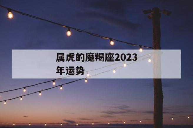 对于已婚的属虎摩羯座来说,2023年里的感情生活还算是可以的,单身的属