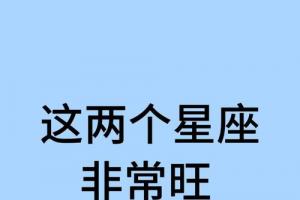 今天我就来聊聊两个特别适合巨蟹座的星座,简直是他们的