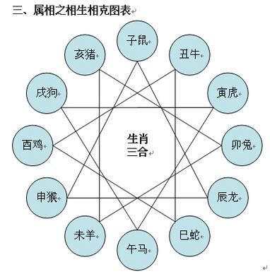 十二生肖相生相克图表