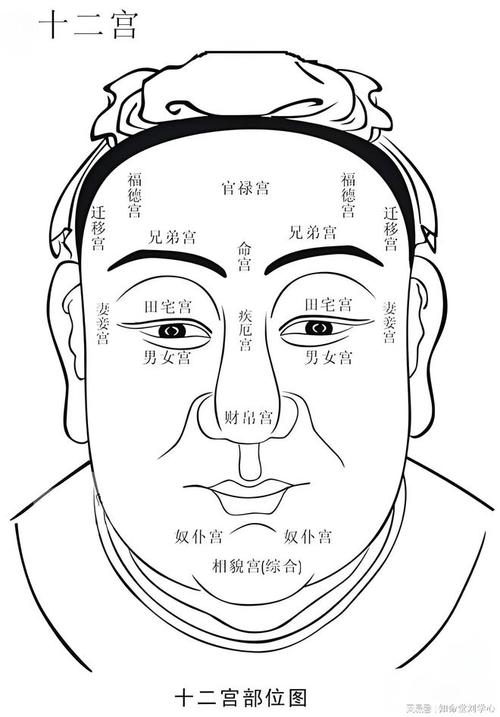 面相之眉毛|秀丽|逆生|眉梢_网易订阅