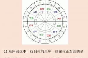 极具吸引力的对宫星座|金牛座和天蝎座 12星座圆盘中,找到你的星座,站