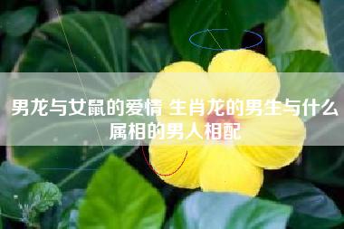 男龙与女鼠的爱情 生肖龙的男生与什么属相的男人相配