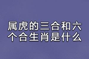 属虎的三合和六个合生肖是什么:属马/属狗/属猪_吉星堂