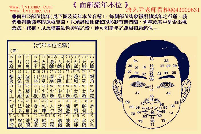 面相流年对照图