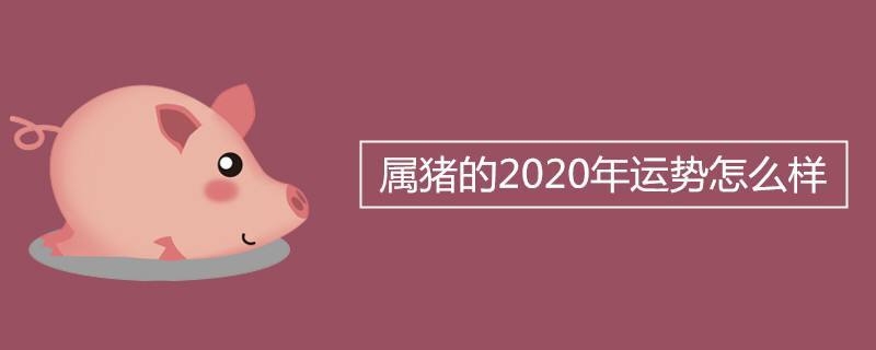 71年属猪的今年运势 71年属猪的今年运势好不好